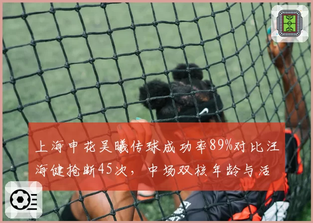 上海申花吴曦传球成功率89%对比汪海健抢断45次,中场双核年龄与活力博弈